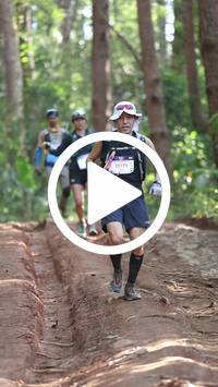 BIB:  <button type="button" onclick="openModal(26569700)" class="btn btn-primary btn-sm float-right" data-toggle="modal" data-target=".modal-high-quality">
                <i class="fa fa-download"></i> Download
                </button>